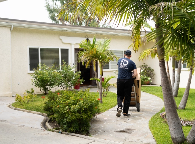 Mover pushing a trolley